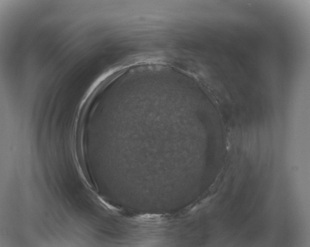X0000081340052200701182031