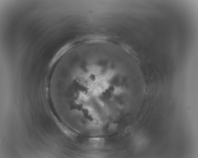 X0000081340053200701182031