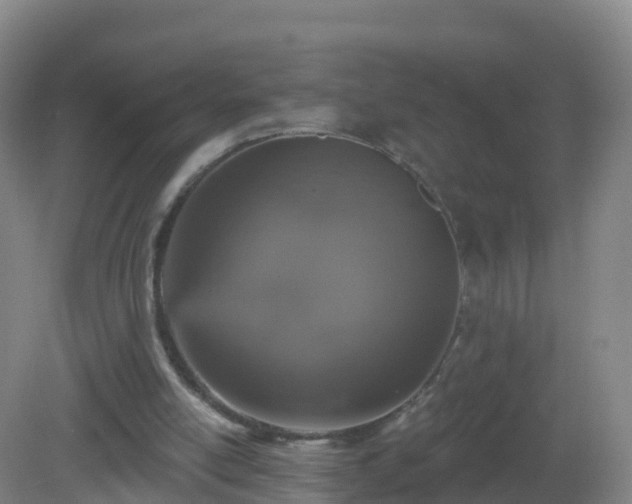 X0000081340054200701182031