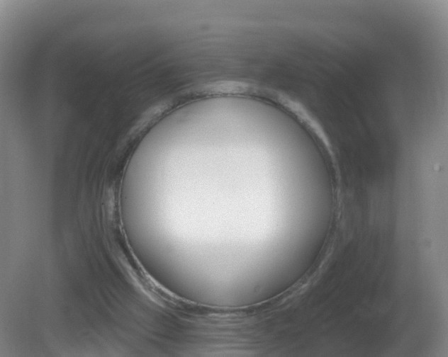 X0000081340057200701182031