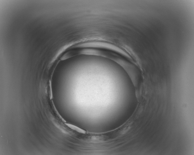 X0000081340060200701182031