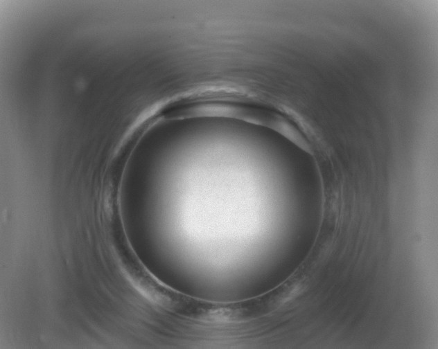 X0000081340064200701182031