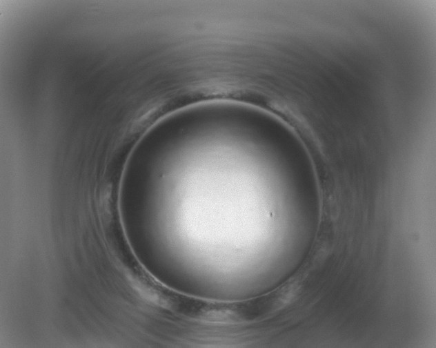 X0000081340066200701182031