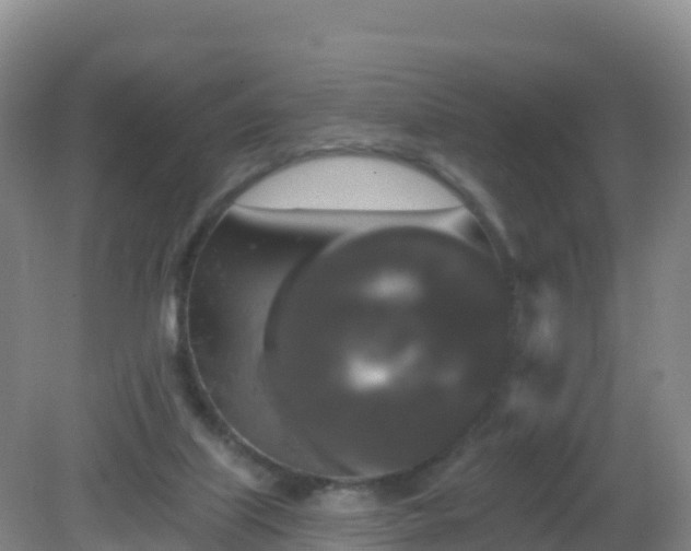 X0000081340067200701182031