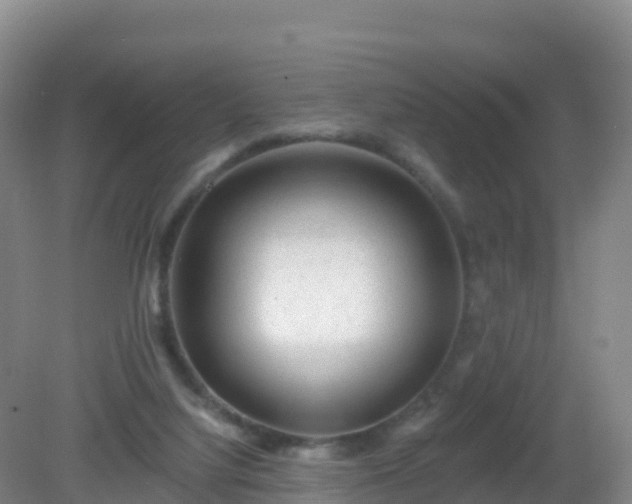 X0000081340068200701182031