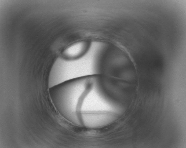 X0000081340069200701182031