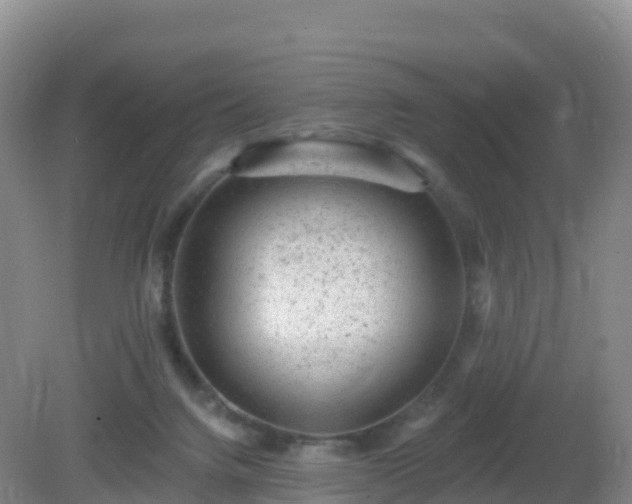 X0000081340072200701182031