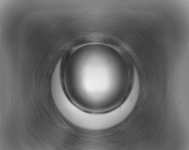 X0000081340073200701182031
