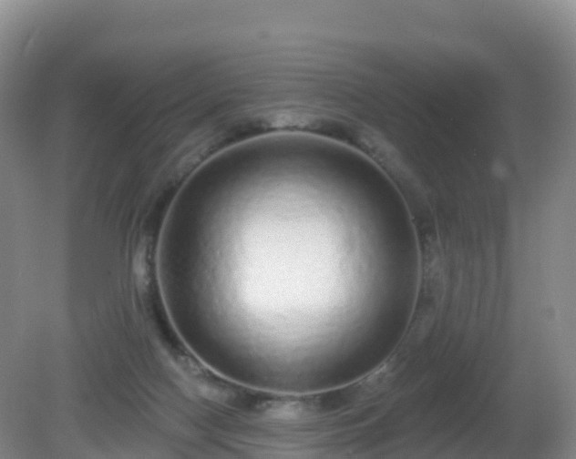 X0000081340074200701182031