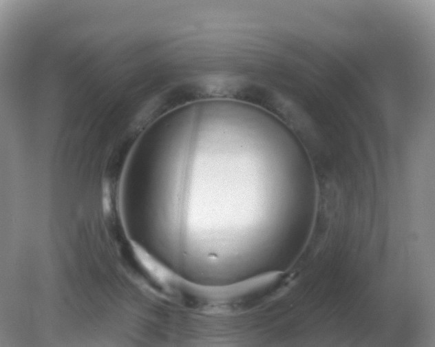 X0000081340075200701182031