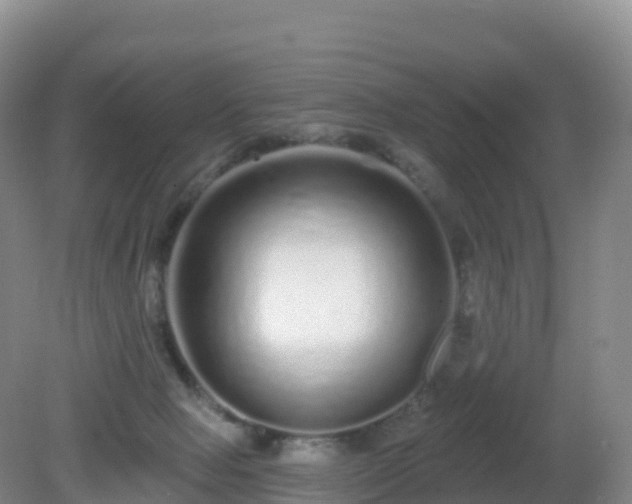 X0000081340077200701182031