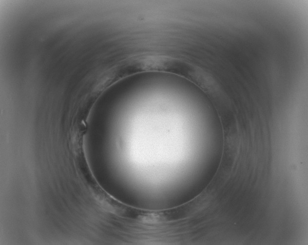 X0000081340079200701182031