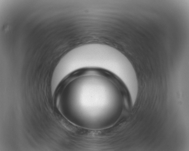 X0000081340080200701182032
