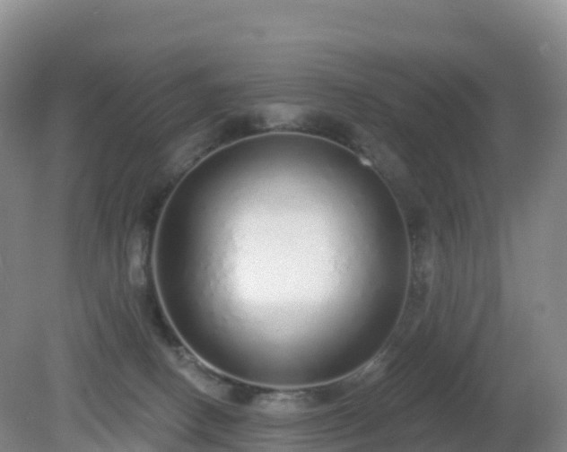 X0000081340082200701182032