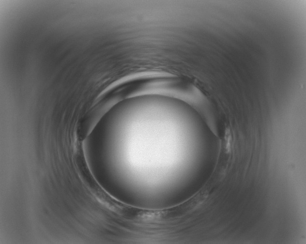 X0000081340084200701182032