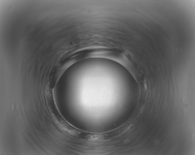 X0000081340088200701182032