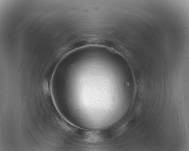 X0000081340089200701182032