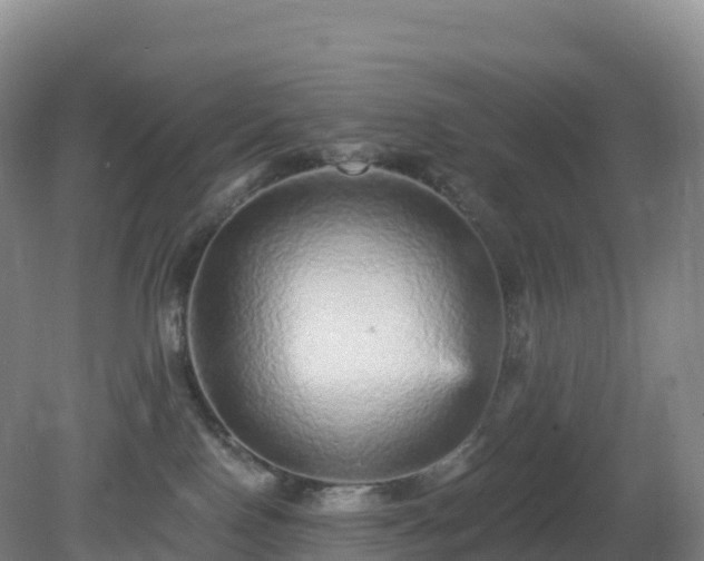 X0000081340090200701182032