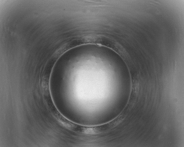 X0000081340091200701182032