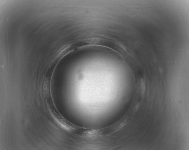 X0000081340092200701182032