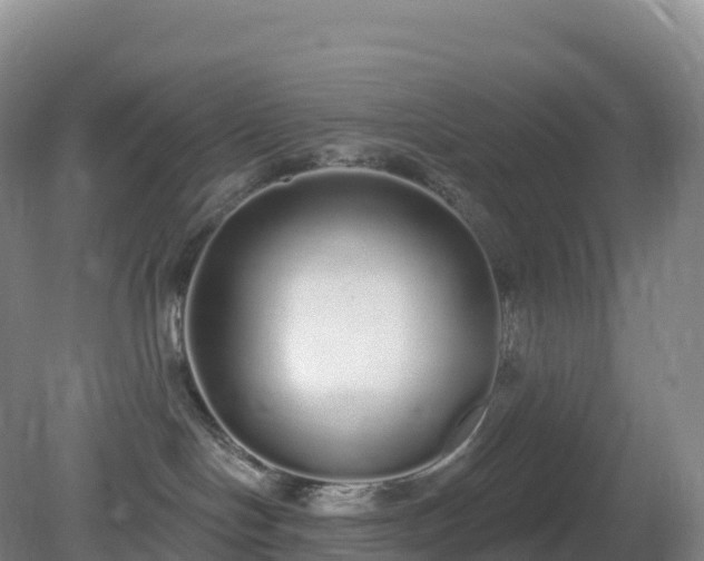 X0000081340094200701182032