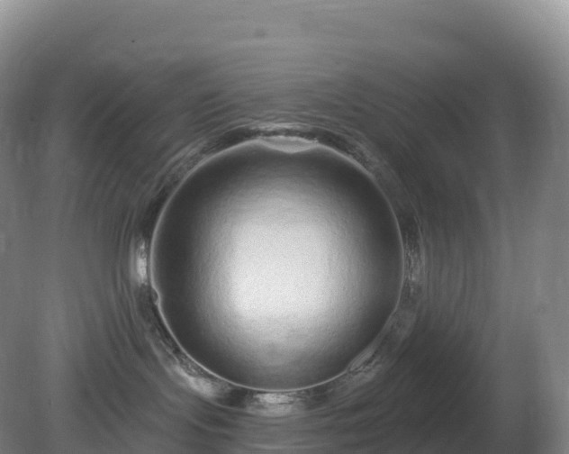 X0000081340095200701182032