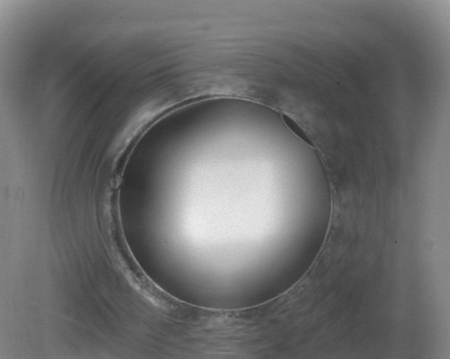 X0000081340098200701182031
