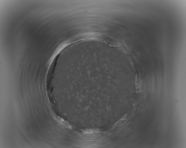 X0000081340099200701182031
