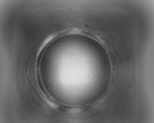X0000081340102200701182031