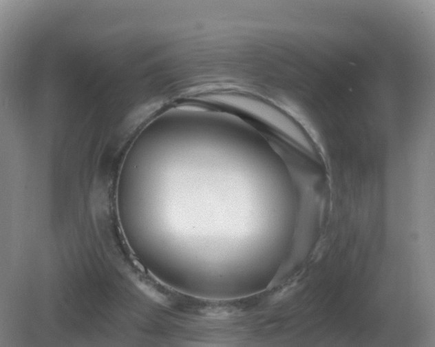X0000081340105200701182031
