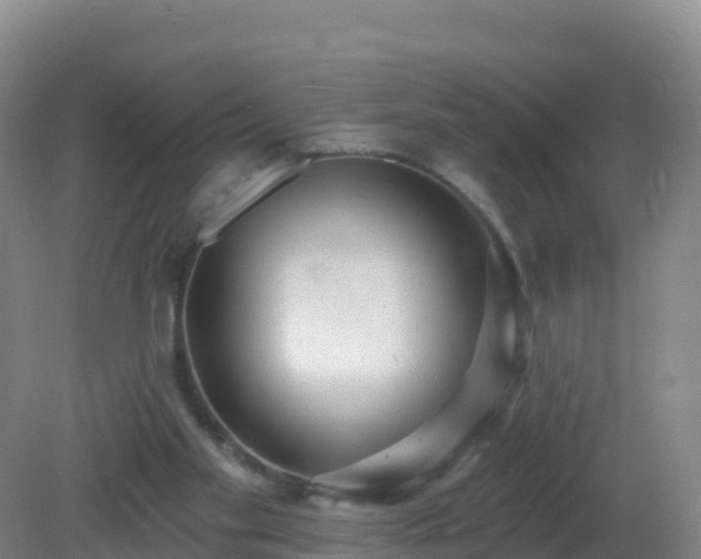 X0000081340109200701182031