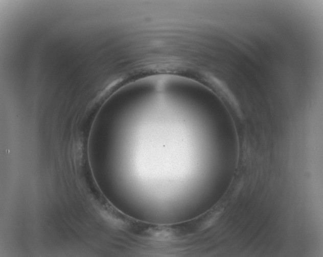 X0000081340113200701182031