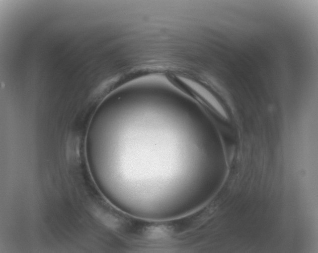 X0000081340115200701182031