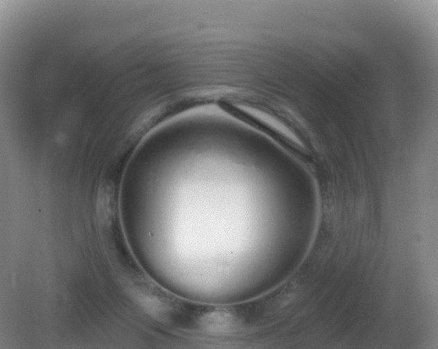 X0000081340119200701182031