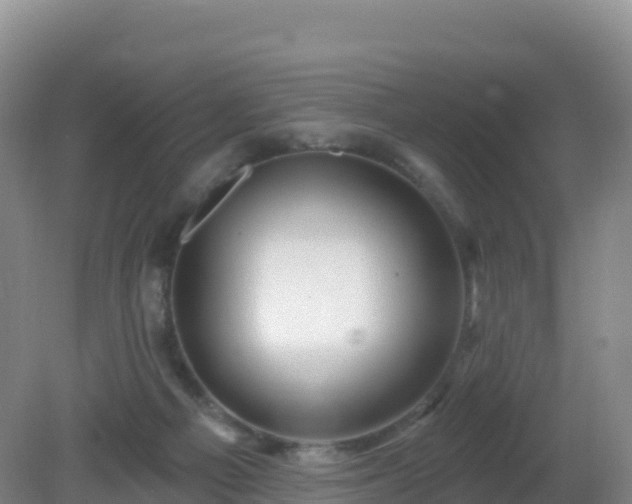 X0000081340121200701182031