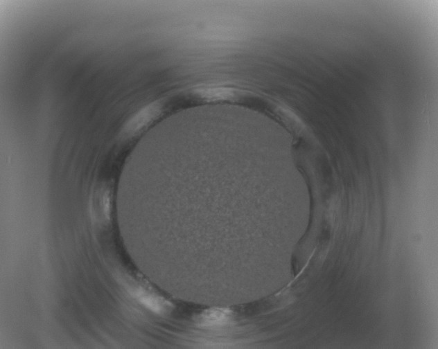 X0000081340124200701182031