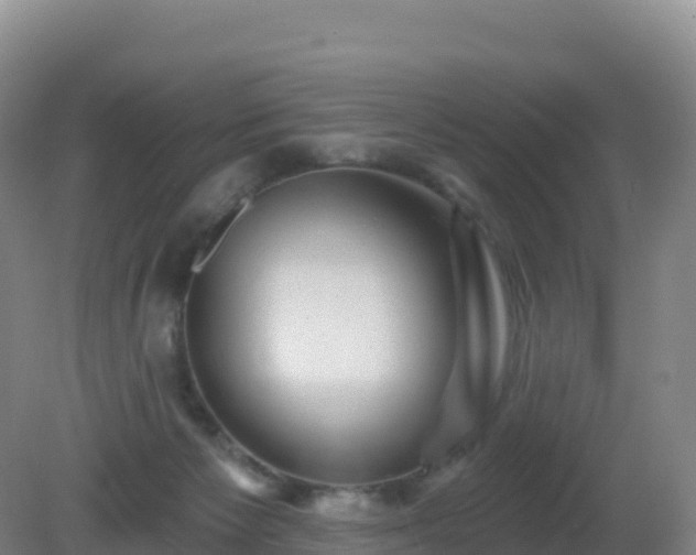 X0000081340125200701182030