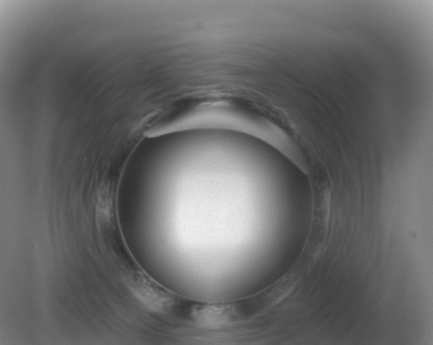 X0000081340129200701182030