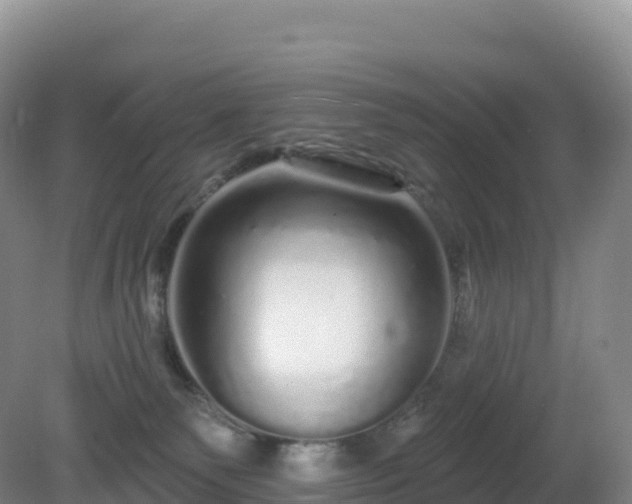 X0000081340135200701182030
