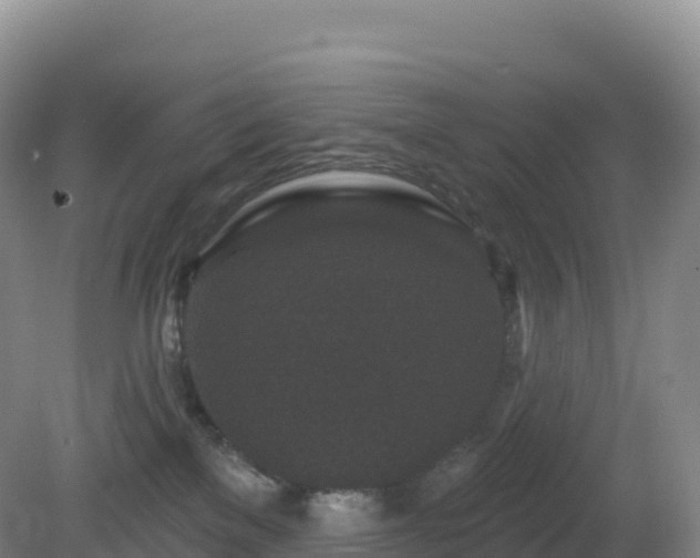 X0000081340137200701182030