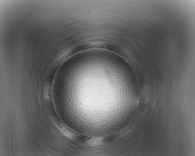 X0000081340138200701182030