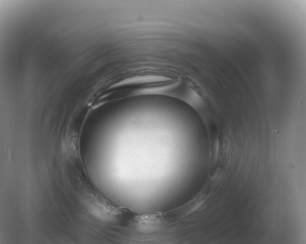 X0000081340141200701182030
