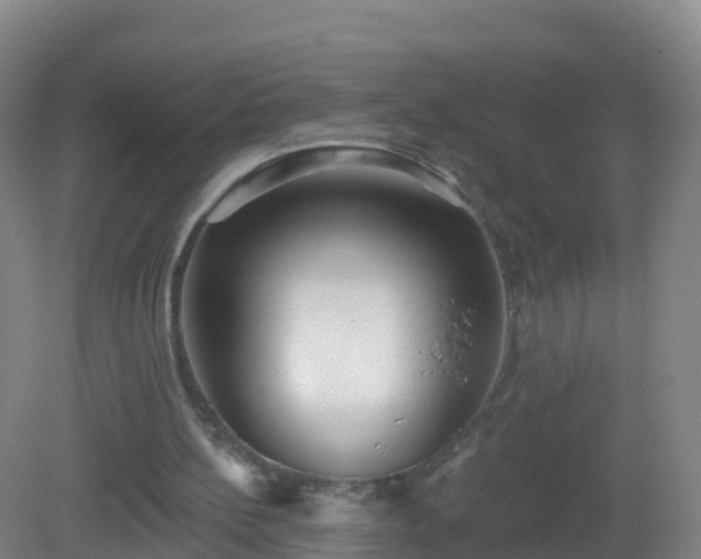 X0000081340148200701182029