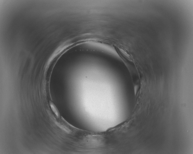 X0000081340150200701182029