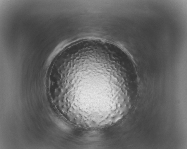 X0000081340151200701182029
