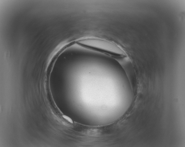 X0000081340152200701182029