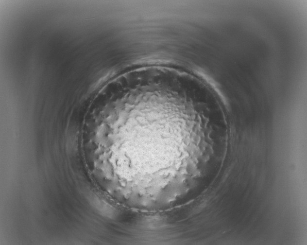 X0000081340153200701182029