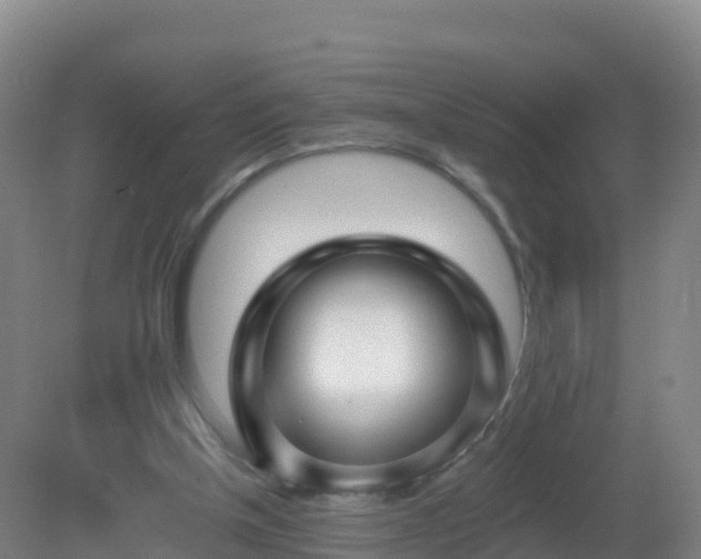 X0000081340154200701182030