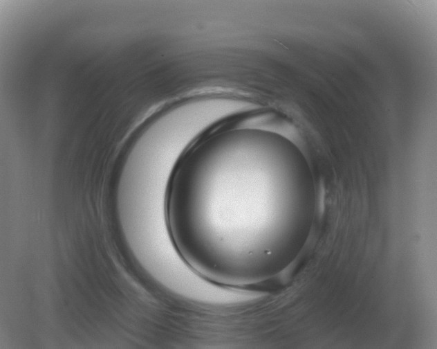 X0000081340160200701182030