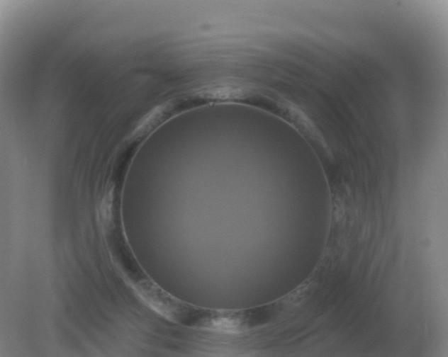 X0000081340163200701182030